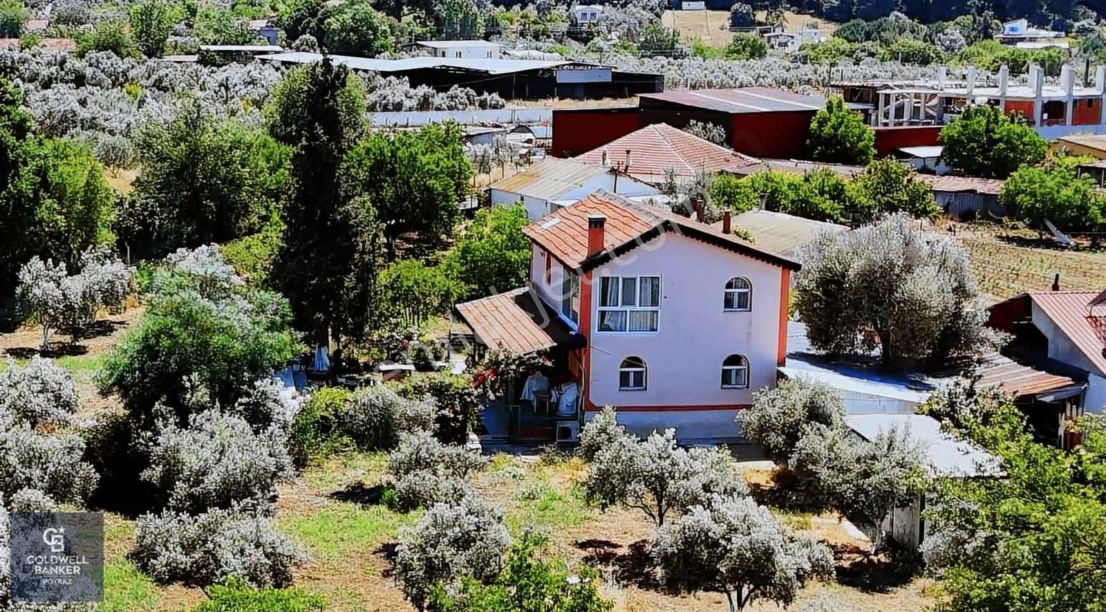 Menderes Değirmendere Satılık 5.583m2 Tarla/160m2 Havuzlu Villa - Görsel 17