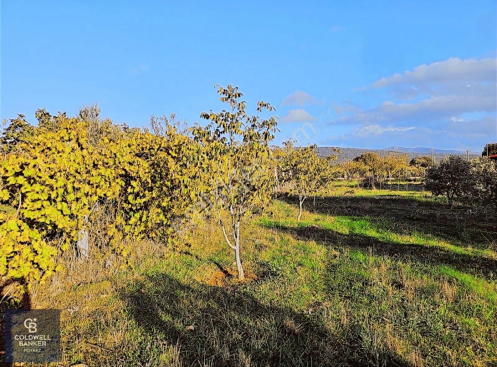 Menderes Çakaltepe Mah. Satılık 1.535 M2 İmarlı Arsa - Görsel 6
