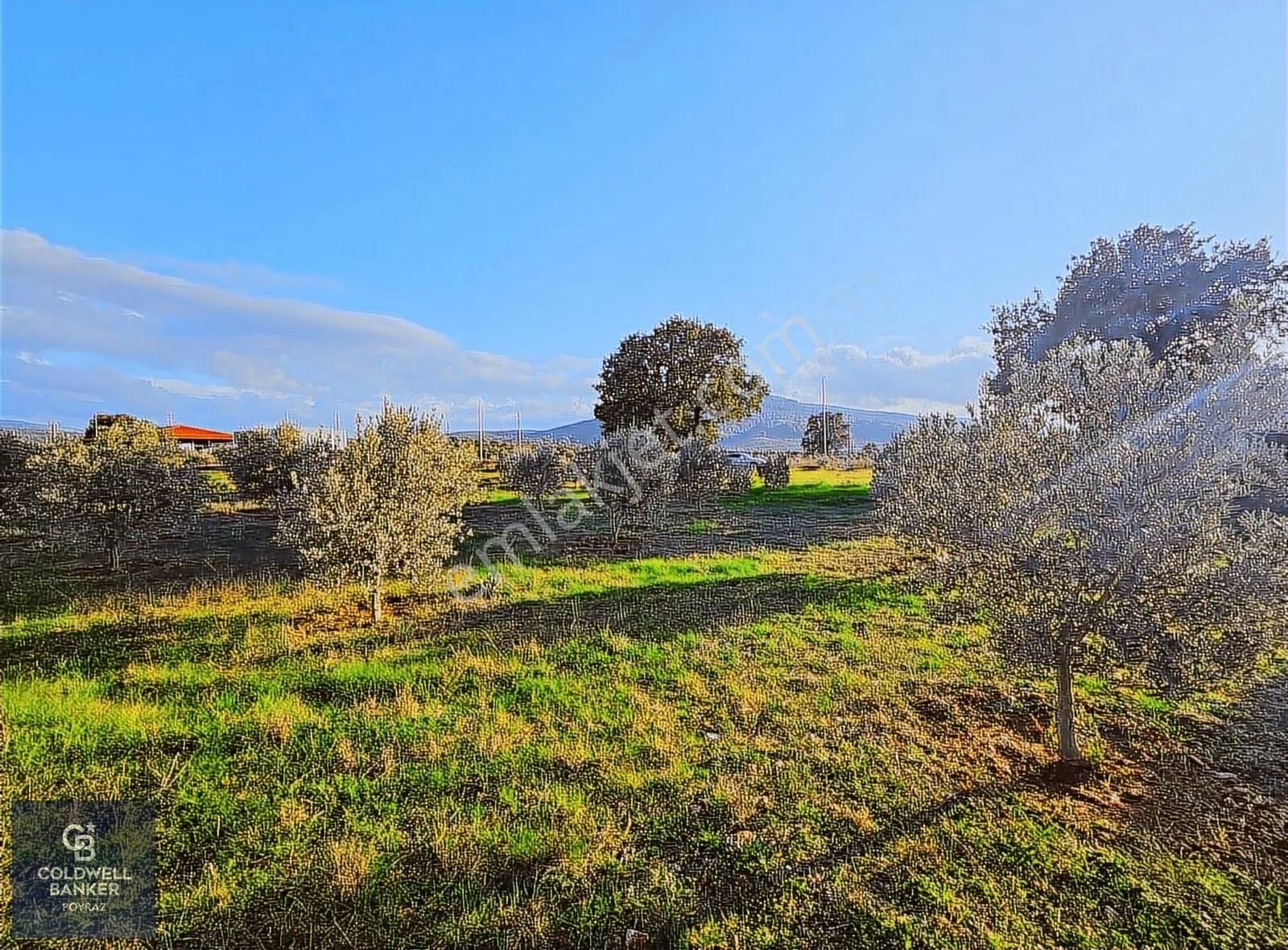 Menderes Çakaltepe Mah. Satılık 1.535 M2 İmarlı Arsa - Görsel 3