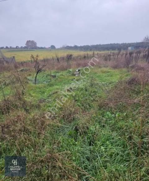 Coldwell Banker Poyraz Gayrimenkulden Dereköy De 1738.97 M2 - Görsel 2