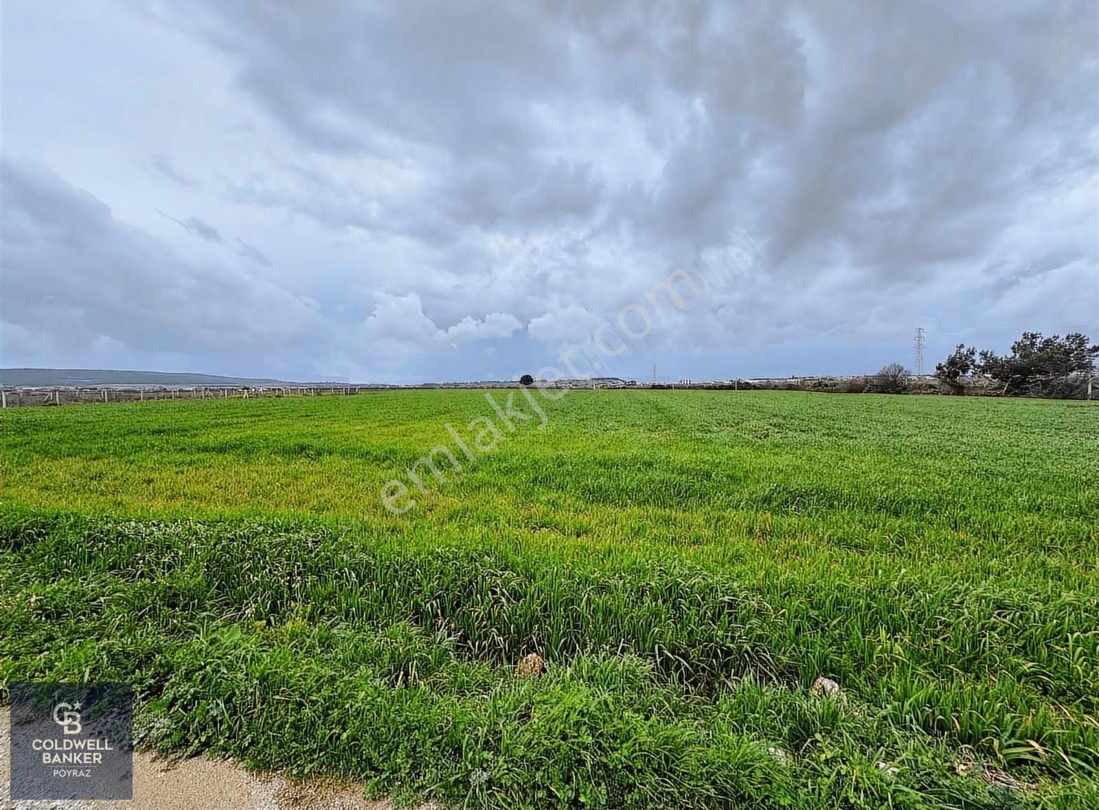 Menderes Coldwell Banker Poyraz'dan Fırsat Tarla - Görsel 8