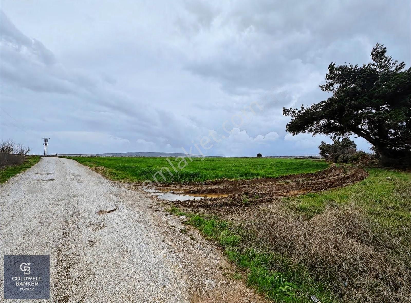 Menderes Coldwell Banker Poyraz'dan Fırsat Tarla - Görsel 18