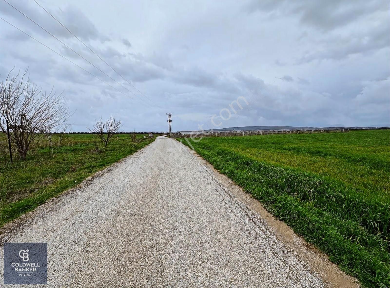 Menderes Coldwell Banker Poyraz'dan Fırsat Tarla - Görsel 6