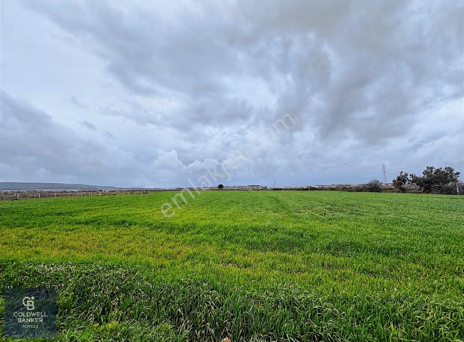 Menderes Coldwell Banker Poyraz'dan Fırsat Tarla - Görsel 15