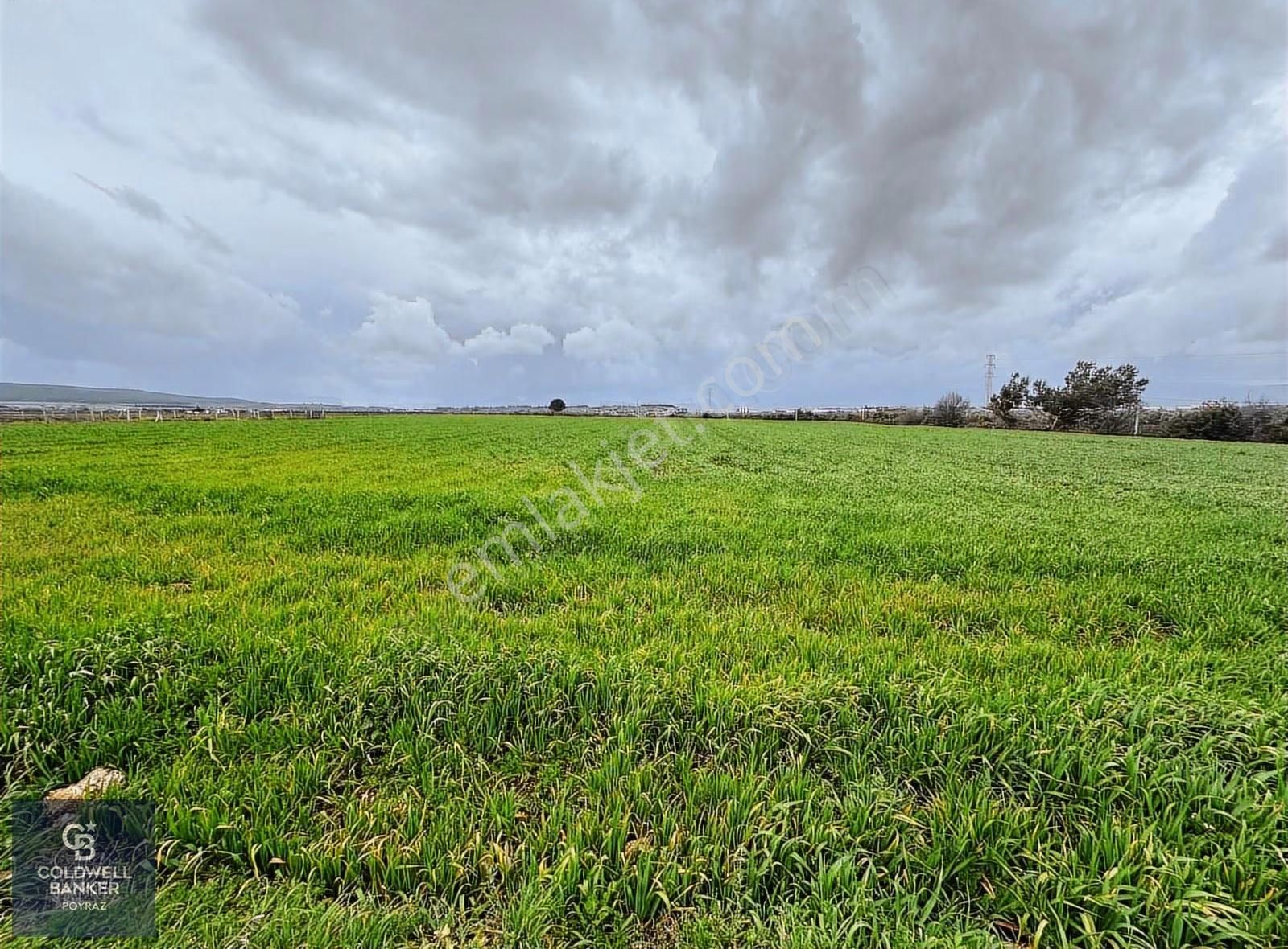 Menderes Coldwell Banker Poyraz'dan Fırsat Tarla - Görsel 5