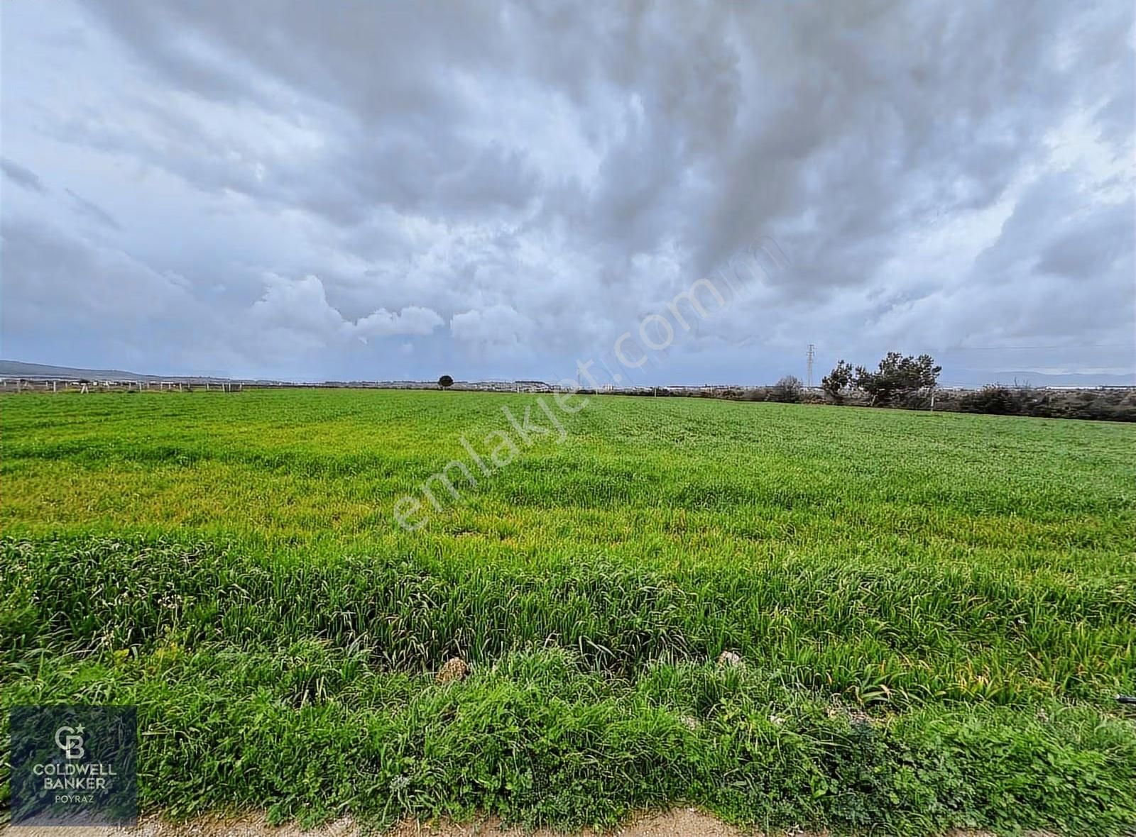 Menderes Coldwell Banker Poyraz'dan Fırsat Tarla