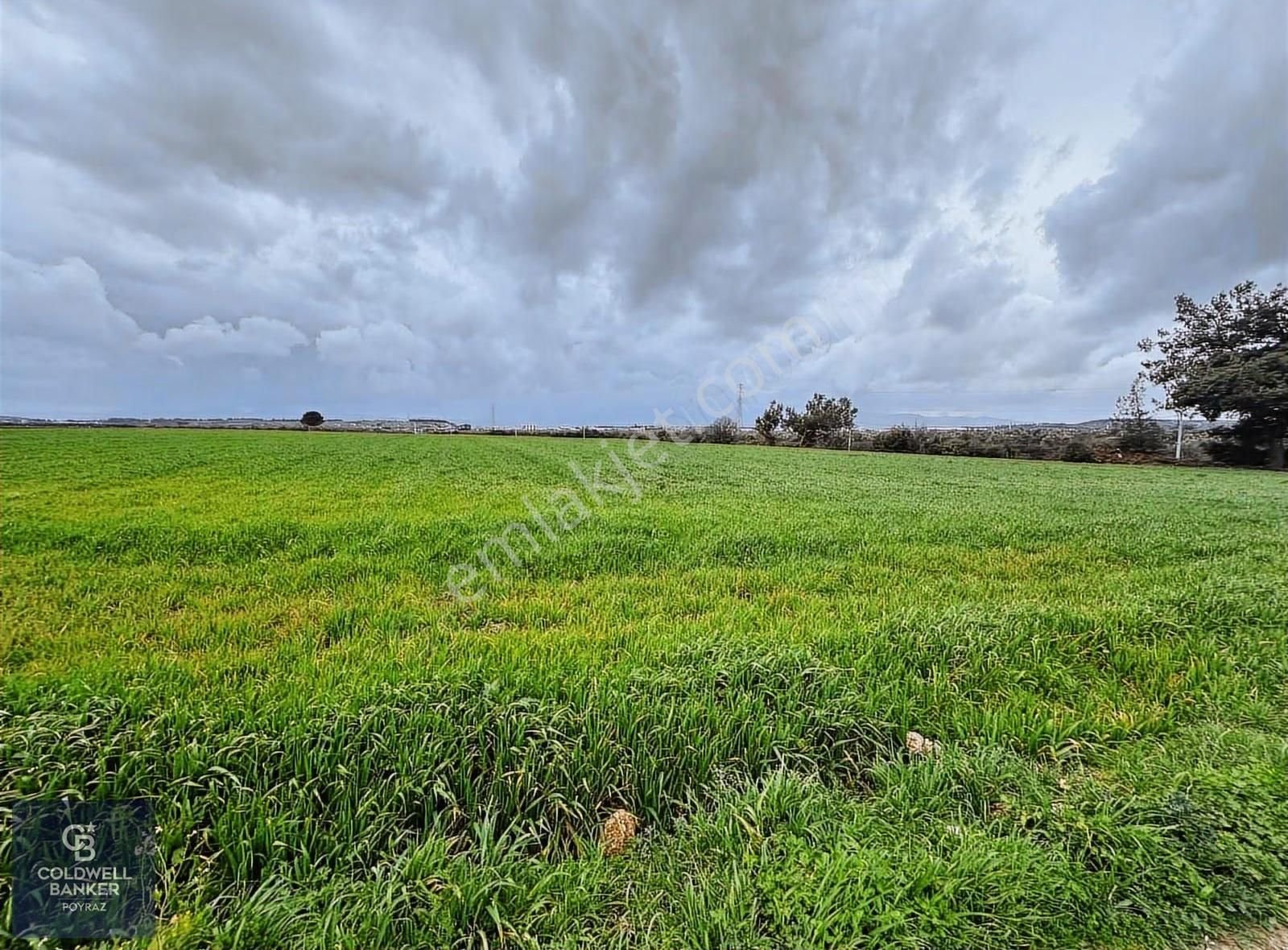 Menderes Coldwell Banker Poyraz'dan Fırsat Tarla - Görsel 13