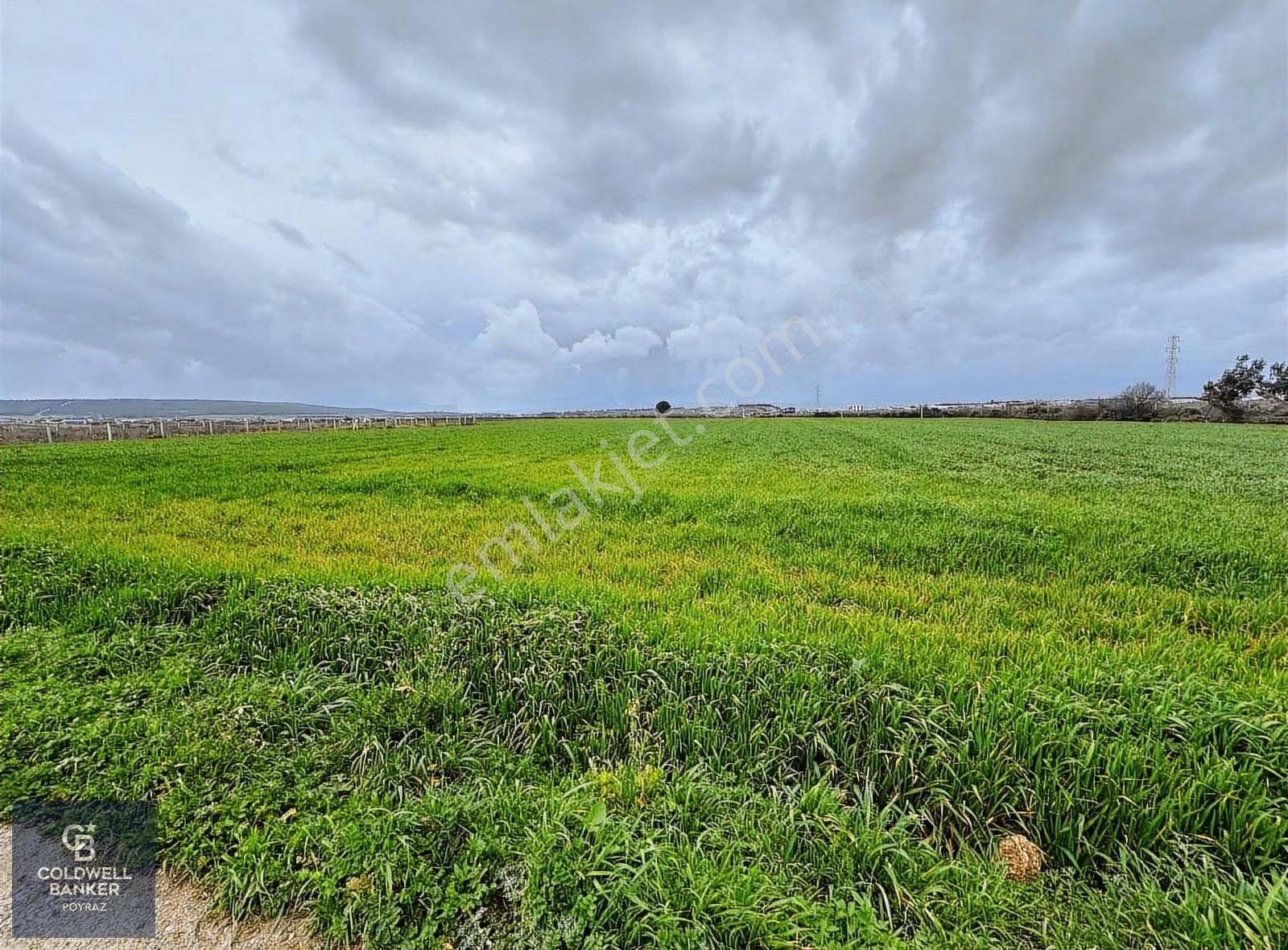 Menderes Coldwell Banker Poyraz'dan Fırsat Tarla - Görsel 16