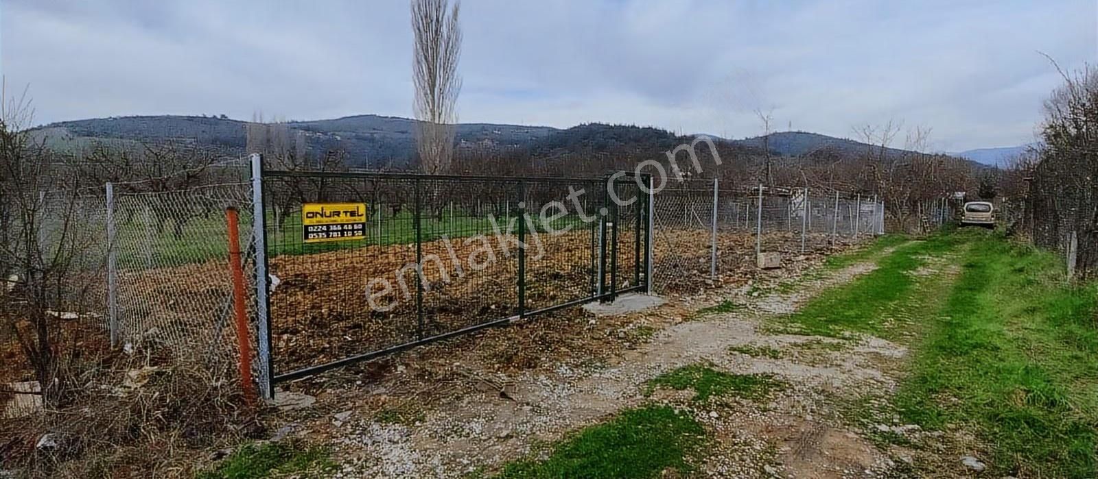 Osmangazi İsmetiye'de Satılık Hobi Bahçesi - Görsel 5