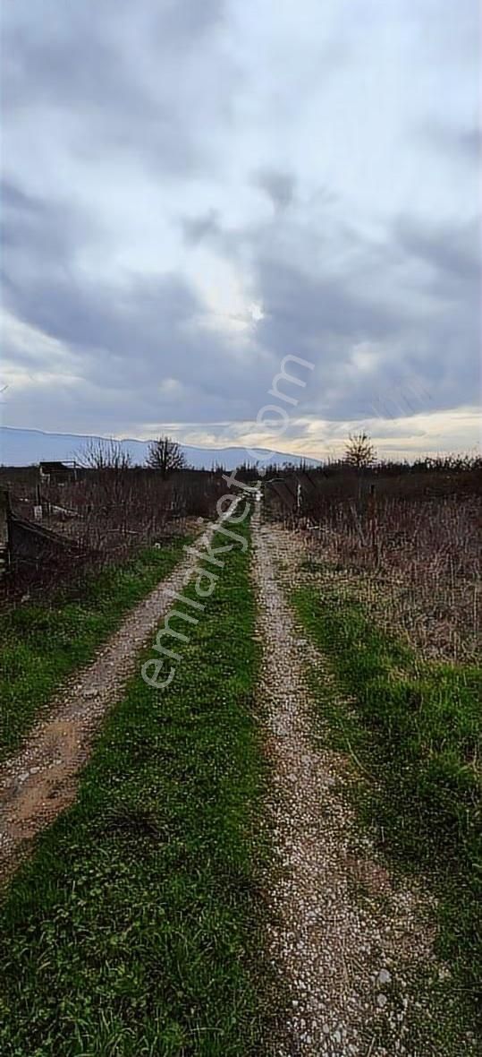 Osmangazi İsmetiye'de Satılık Hobi Bahçesi