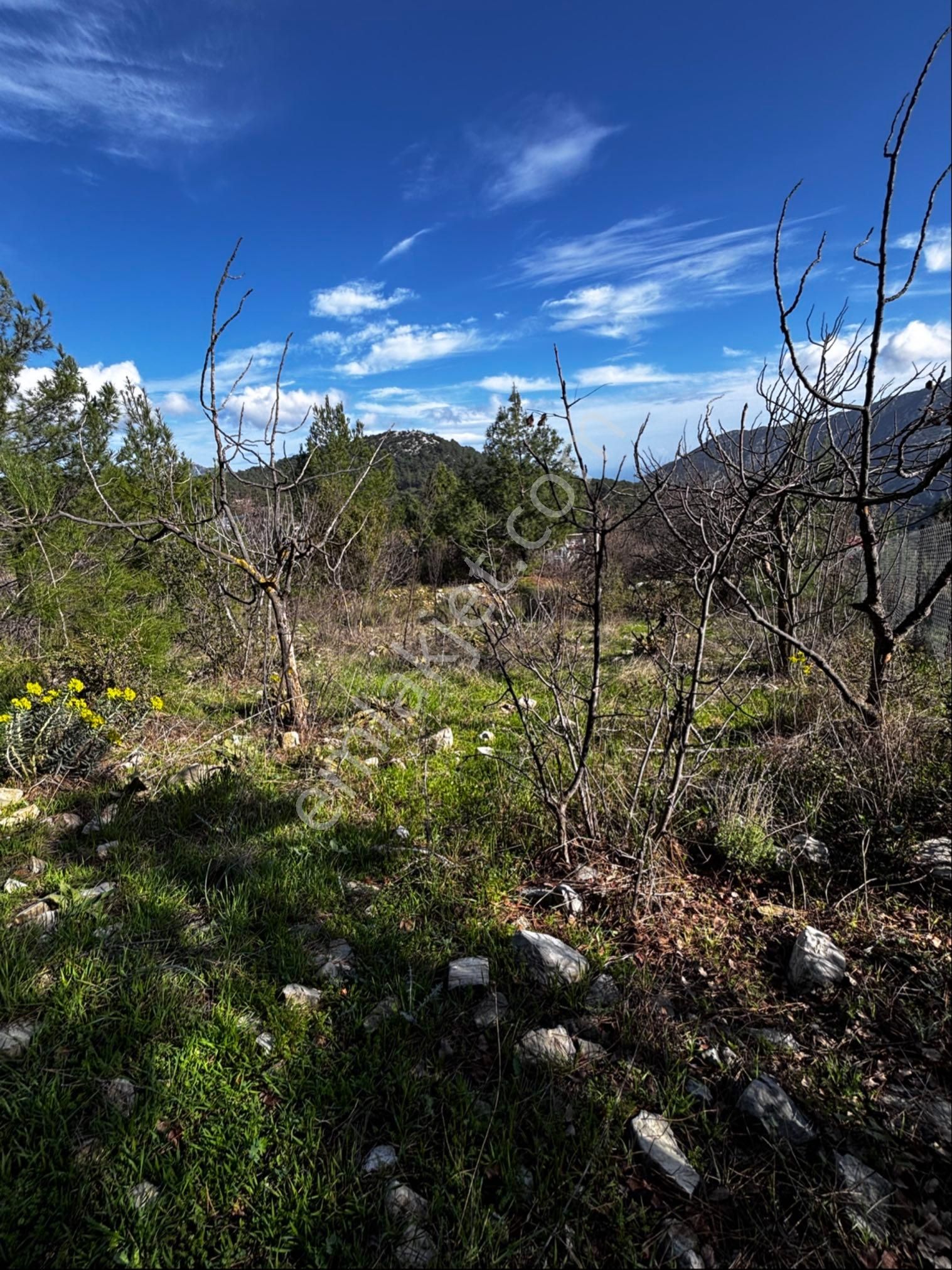 Yatırımlık Arsa+ev Manzaralı - Görsel 8