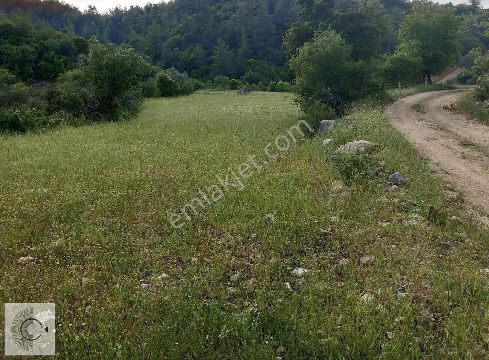 Muğla Menteşe Dağpınar Satılık Tarla - Görsel 10