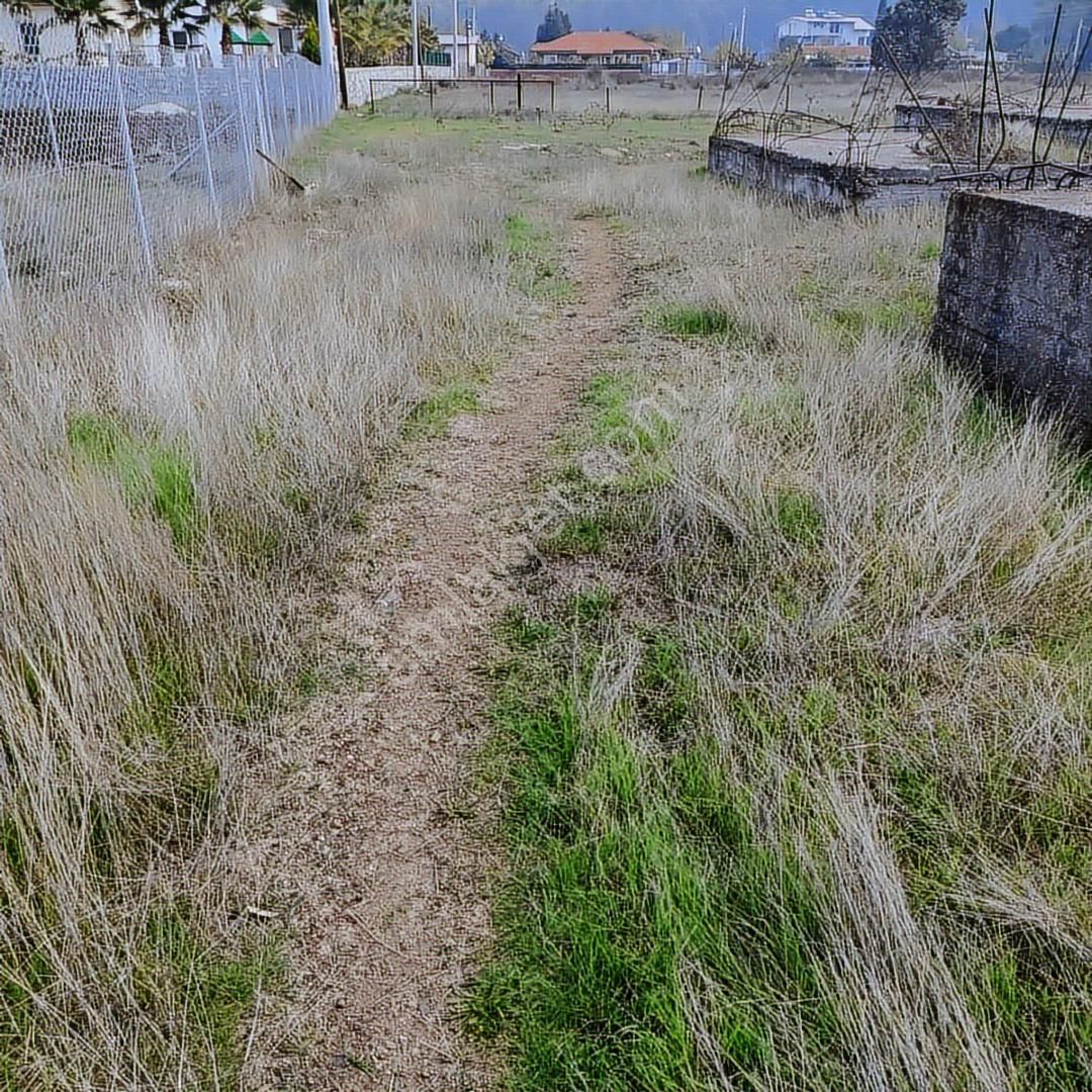 Fiyat Düştü Marmaris Değirmeyanında Satılık Tarla - Görsel 4