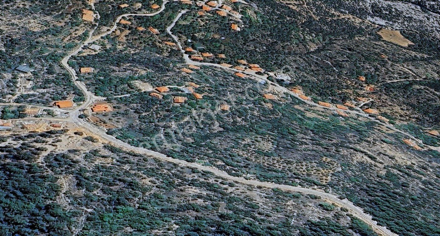 Antalya İbradı Üzümdere Mahallesi Satılık Tek Tapu Tarla - Görsel 2