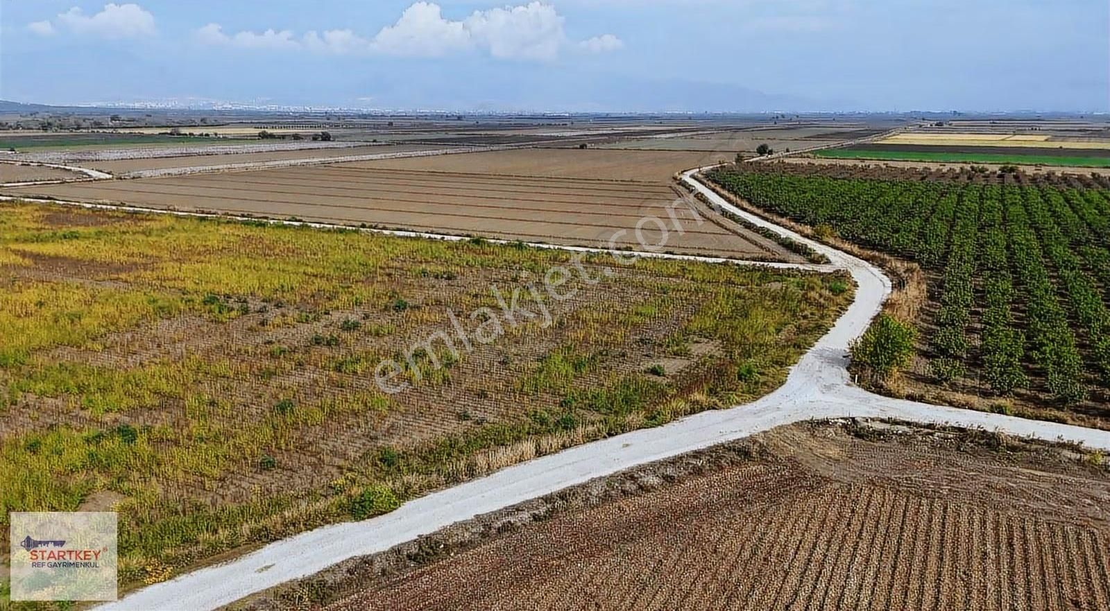 Bölgenin En Uygun Rakamı 31 Dönüm Tek Tapu Yola Çift Cephe - Görsel 5