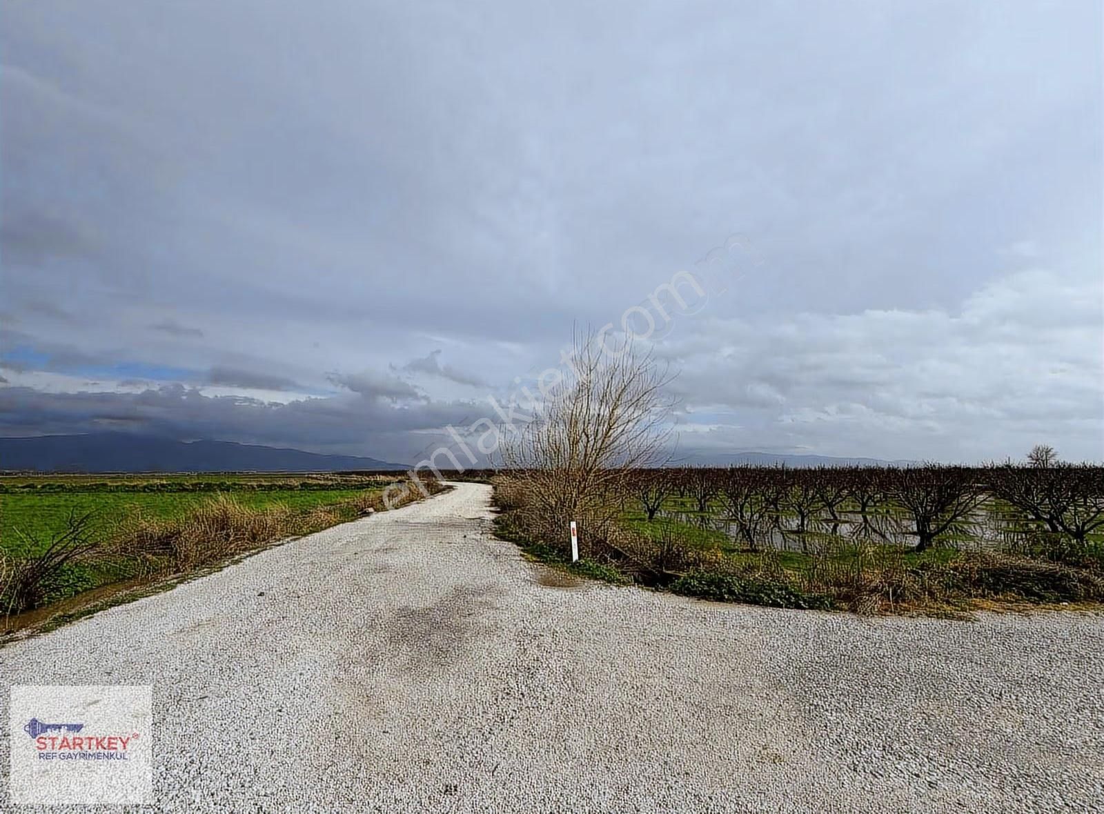 Bölgenin En Uygun Rakamı 31 Dönüm Tek Tapu Yola Çift Cephe - Görsel 2