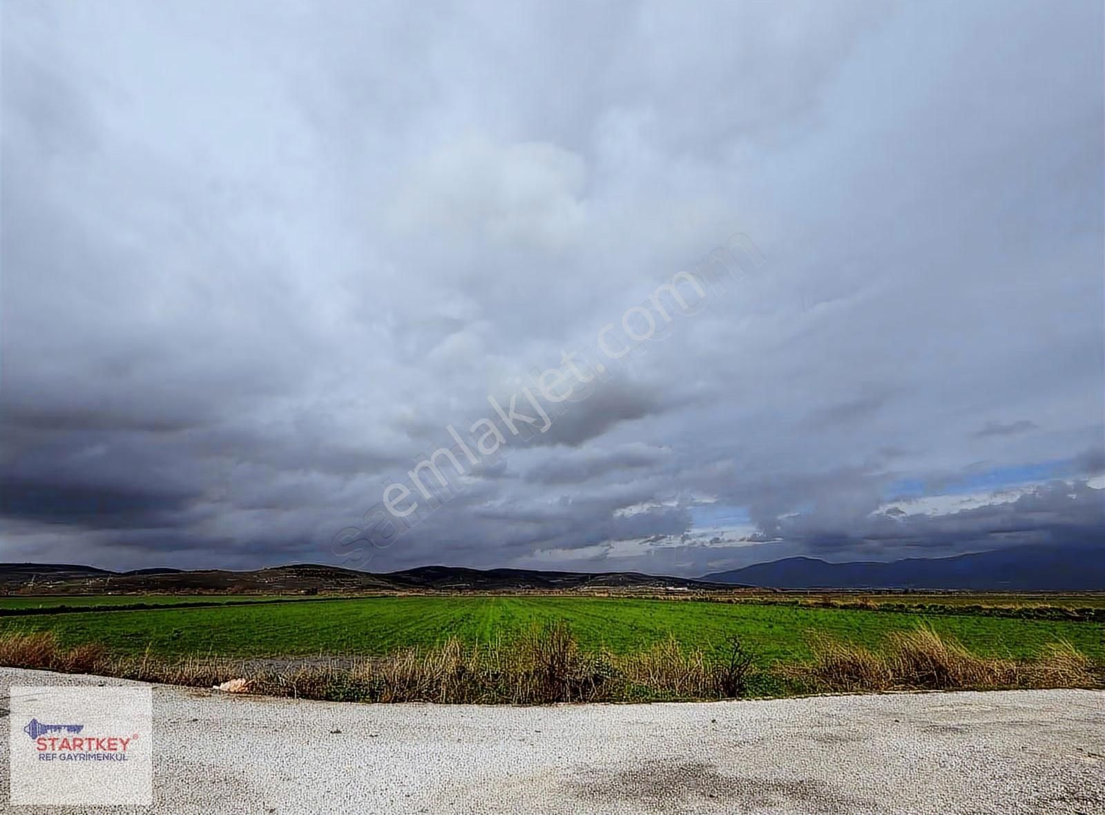 Bölgenin En Uygun Rakamı 31 Dönüm Tek Tapu Yola Çift Cephe