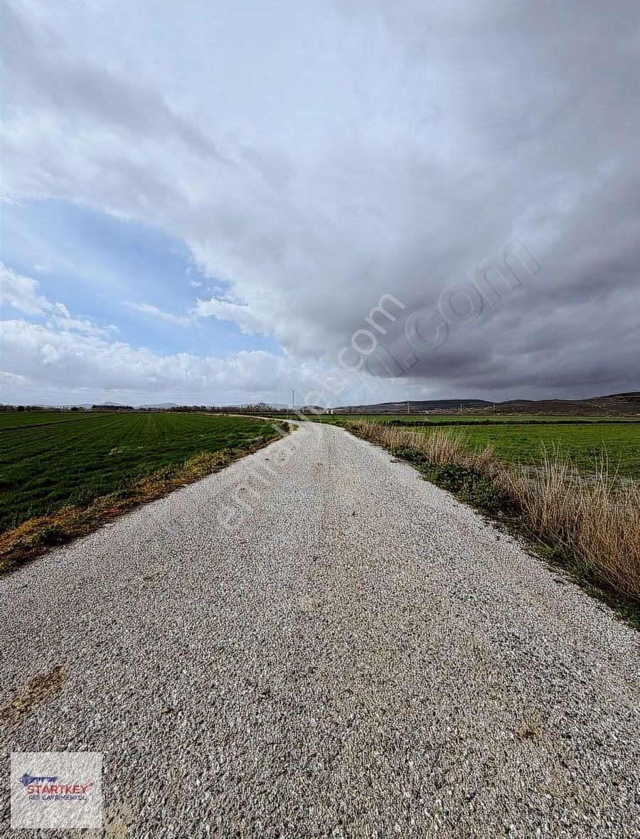 Bölgenin En Uygun Rakamı 31 Dönüm Tek Tapu Yola Çift Cephe - Görsel 7