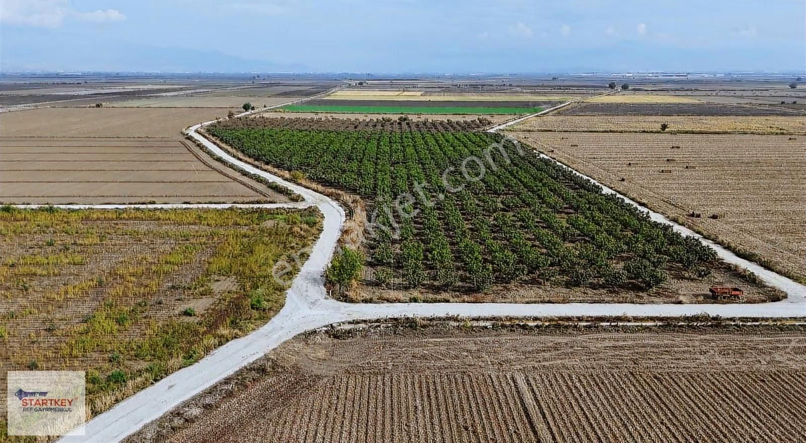 Bölgenin En Uygun Rakamı 31 Dönüm Tek Tapu Yola Çift Cephe - Görsel 8