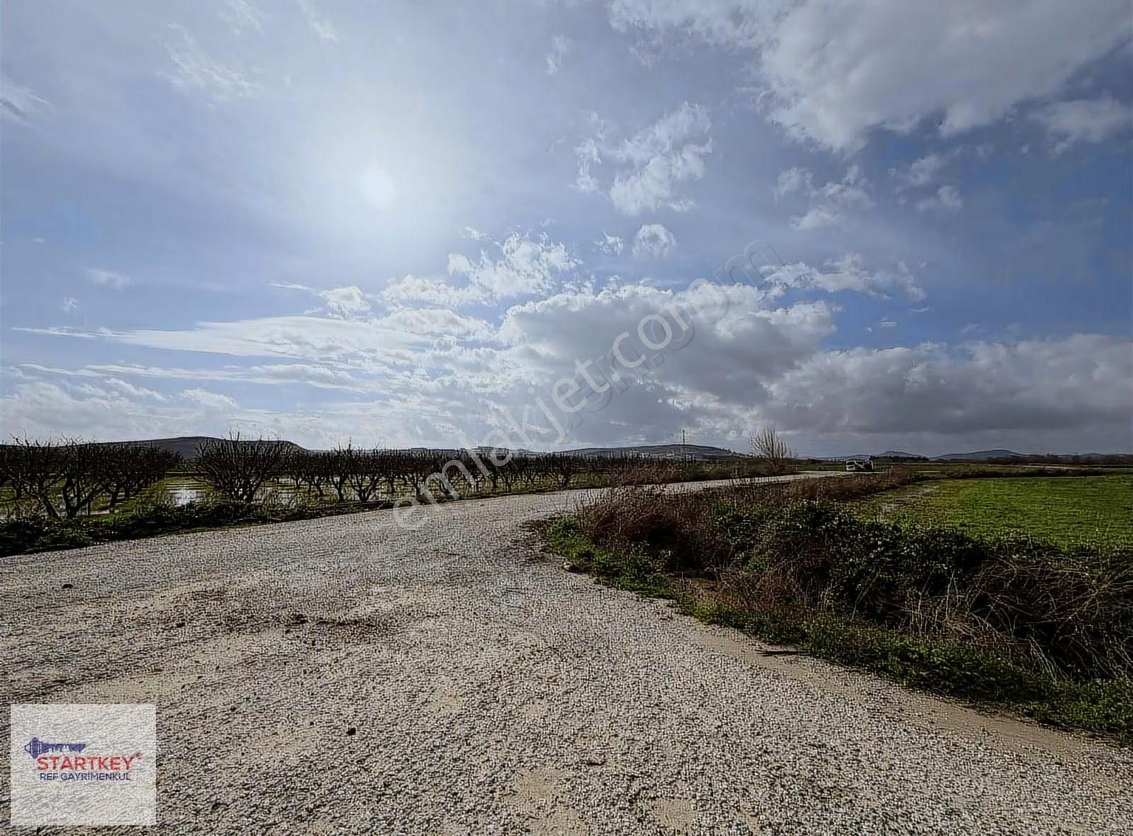 Bölgenin En Uygun Rakamı 31 Dönüm Tek Tapu Yola Çift Cephe - Görsel 4