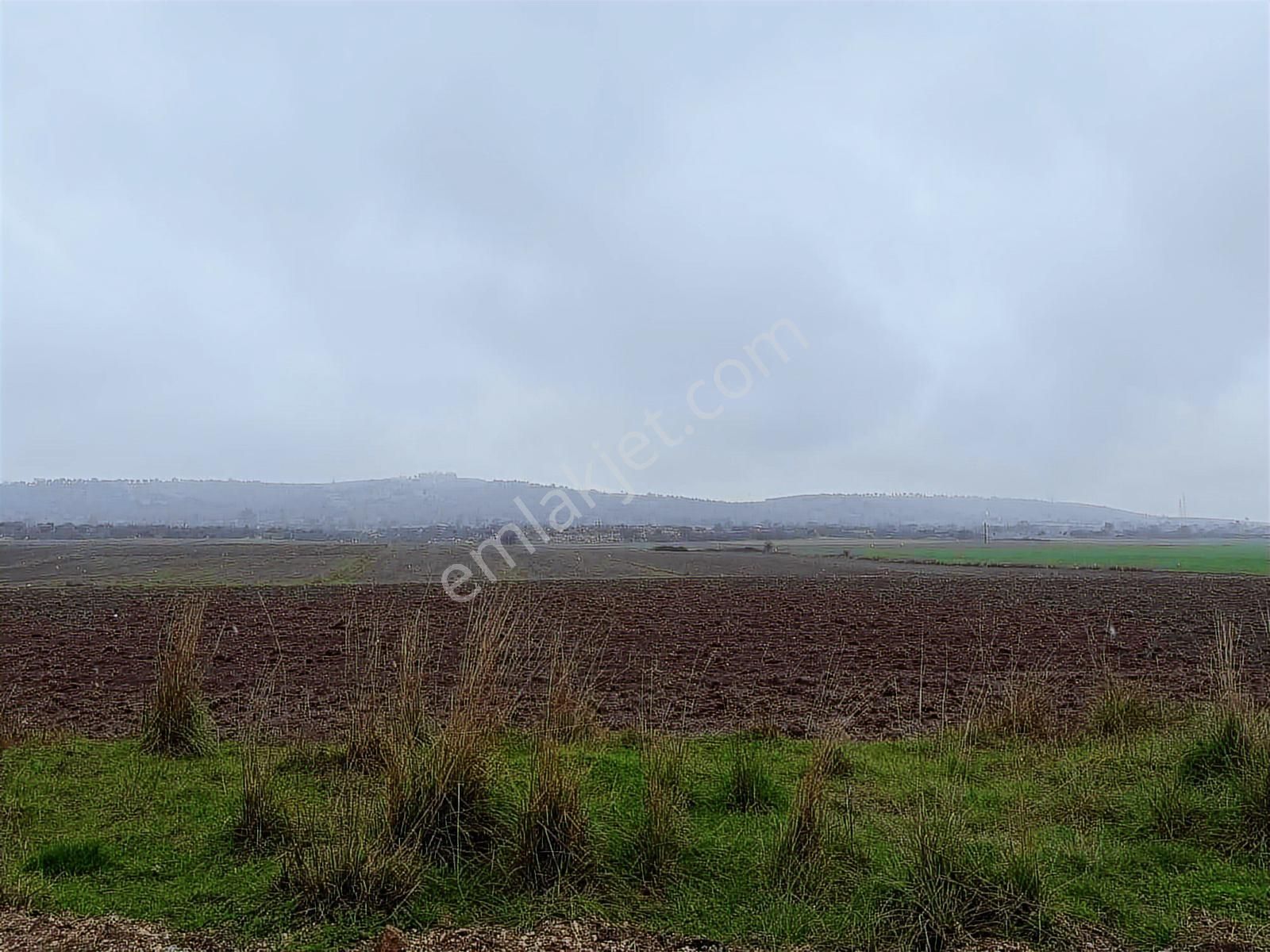 Karacabey Karakoca Sarılık Tarla - Görsel 2