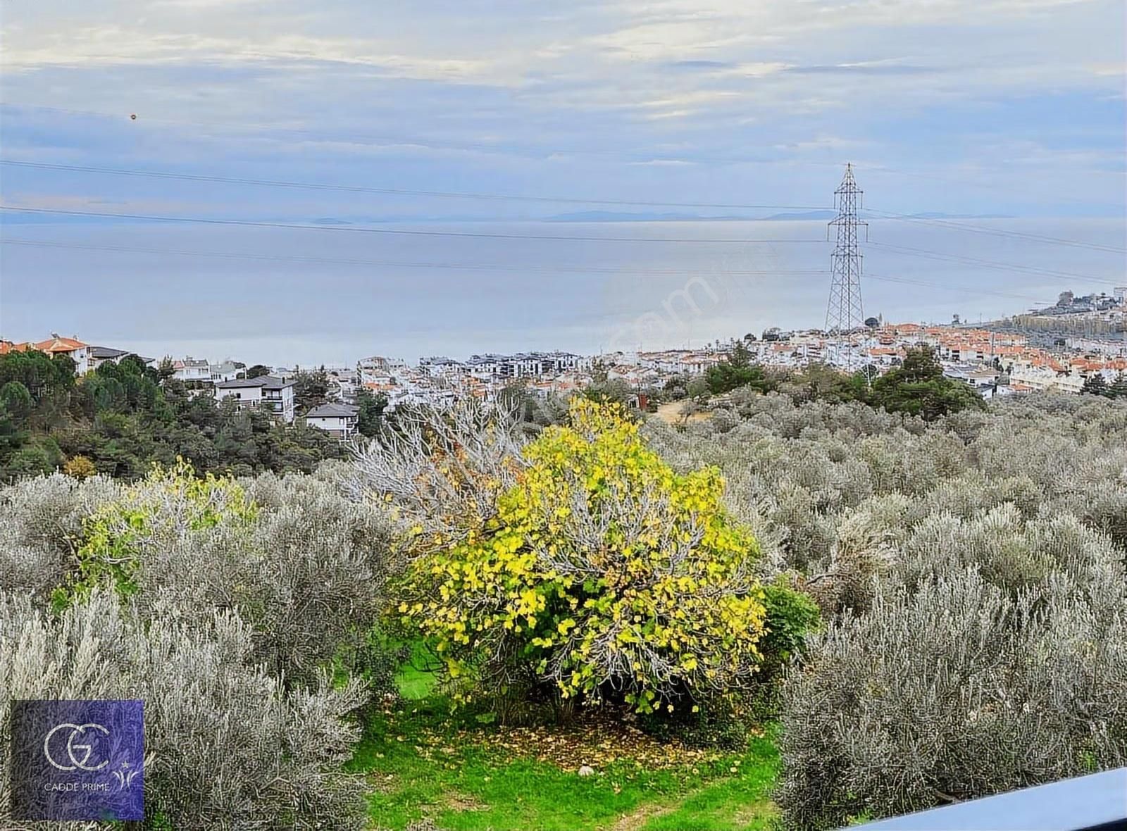 Cadde'den Tam Mustakil 5+1 Havuzlu Deniz Manzaralı Eşsiz Villa - Görsel 22