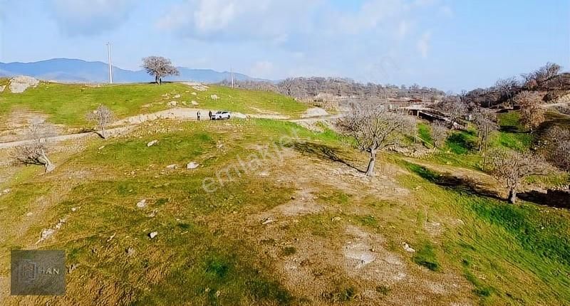 Toprak Almak İçin Fırsat İlan - Görsel 4