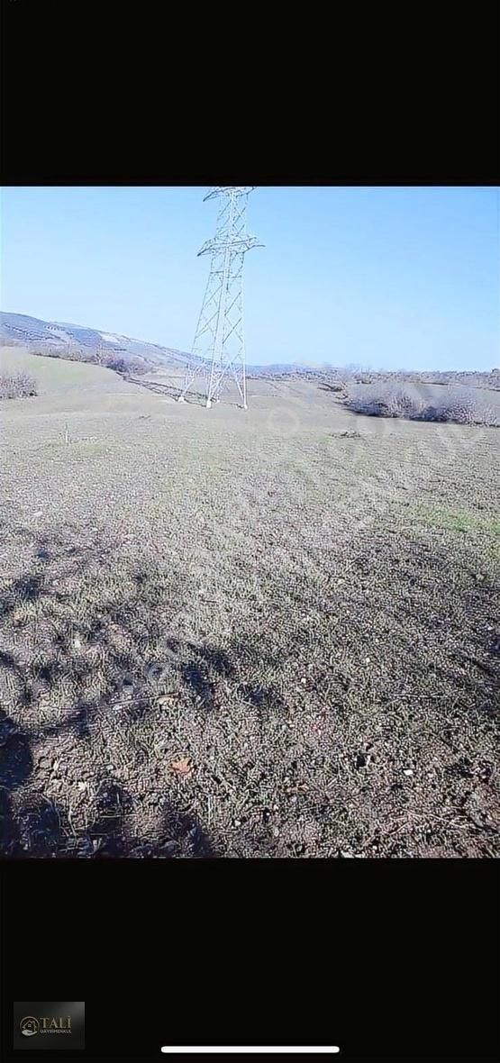 Tali Gayrimenkulden Mudanya Yörükyenicesinde Tarla - Görsel 4