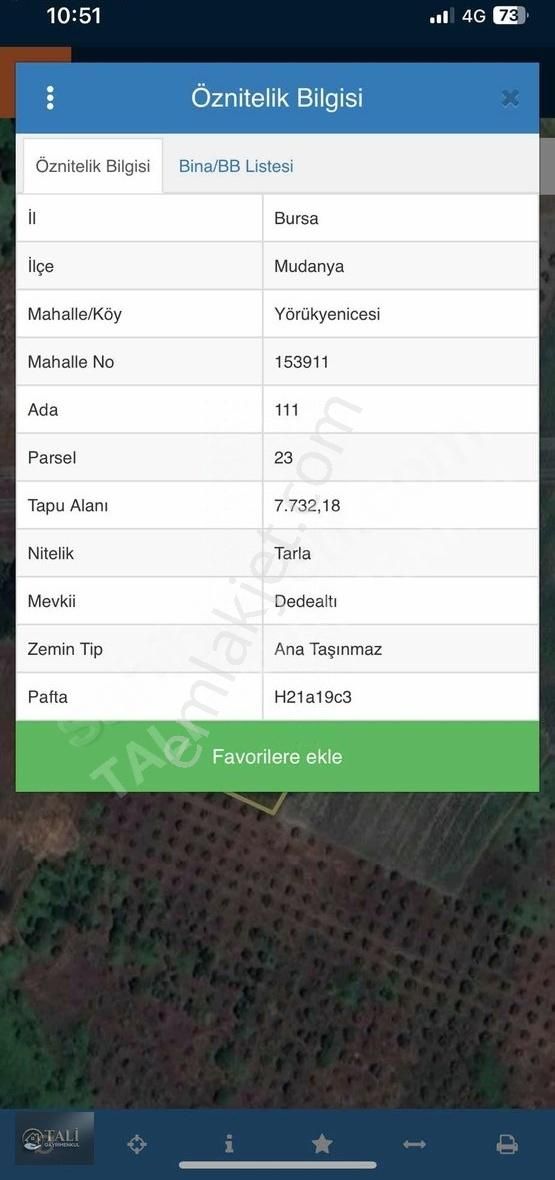 Tali Gayrimenkulden Mudanya Yörükyenicesinde Tarla - Görsel 8