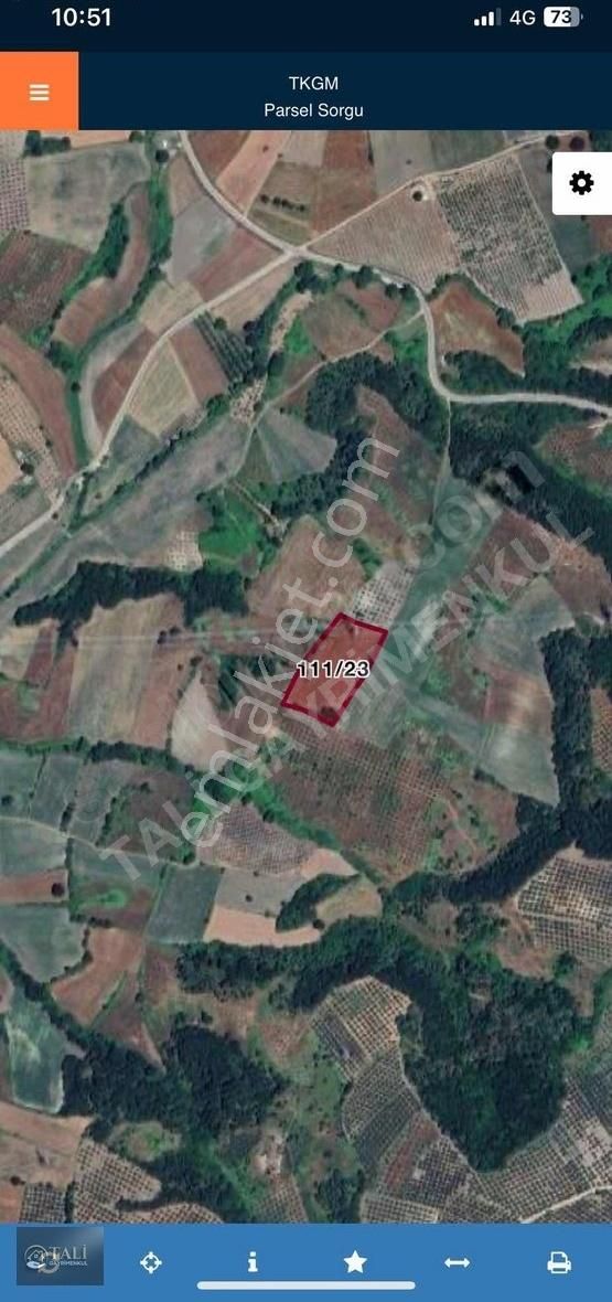 Tali Gayrimenkulden Mudanya Yörükyenicesinde Tarla