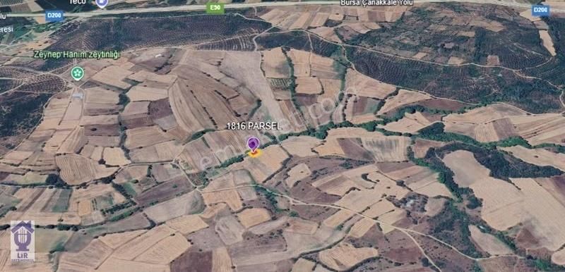 Lir Den Çanakkale Biga Çelikgürü De Satılık 400 M2 Tarla - Görsel 3