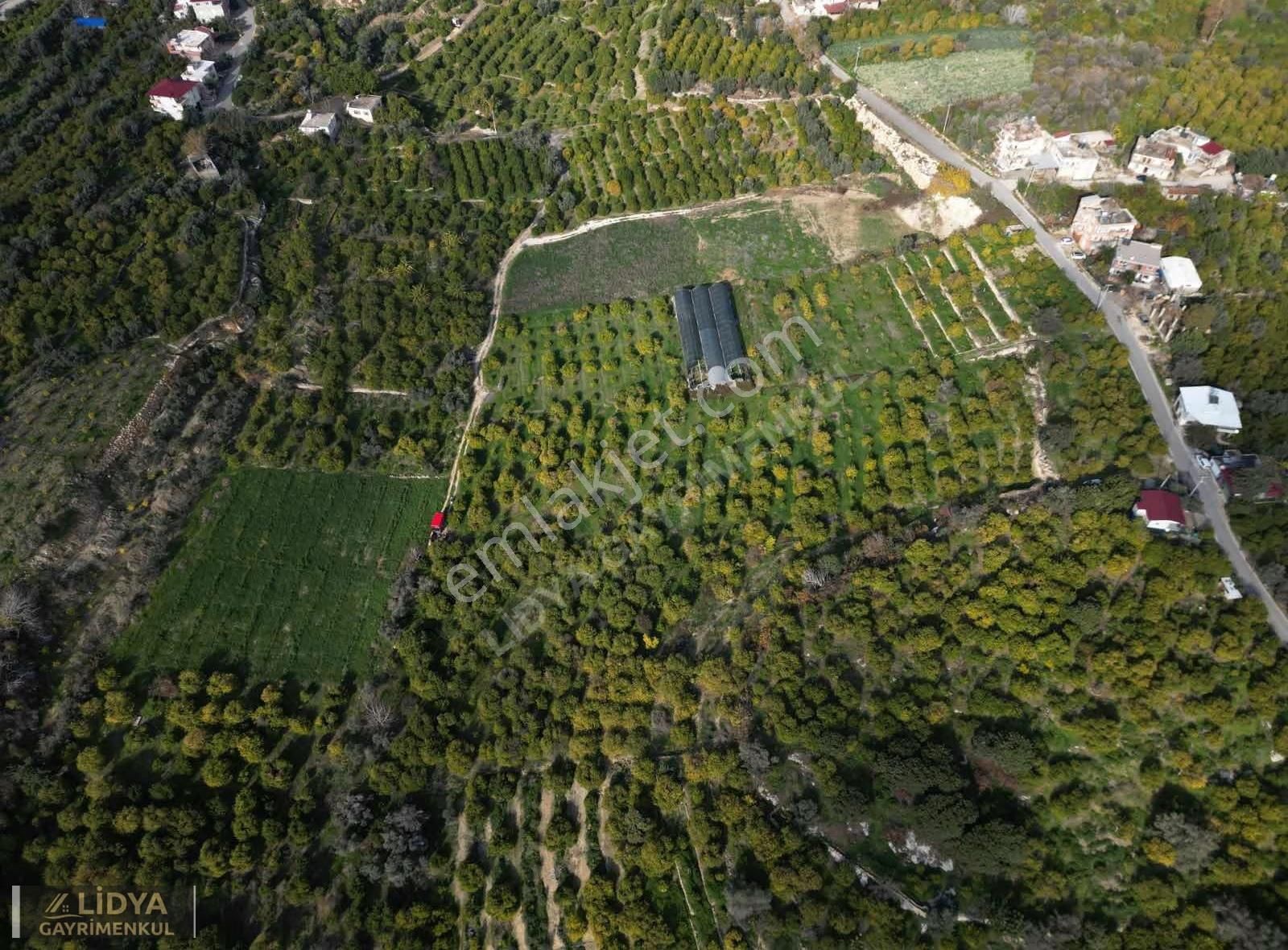 Erdemli Kargıcak'ta 5.760 M2 Satılık Limon Bahçesi - Görsel 8