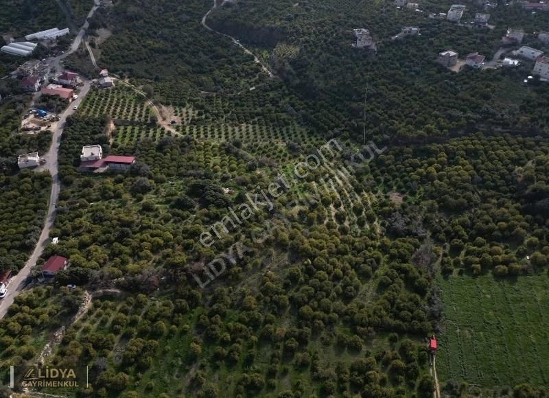 Erdemli Kargıcak'ta 5.760 M2 Satılık Limon Bahçesi - Görsel 2