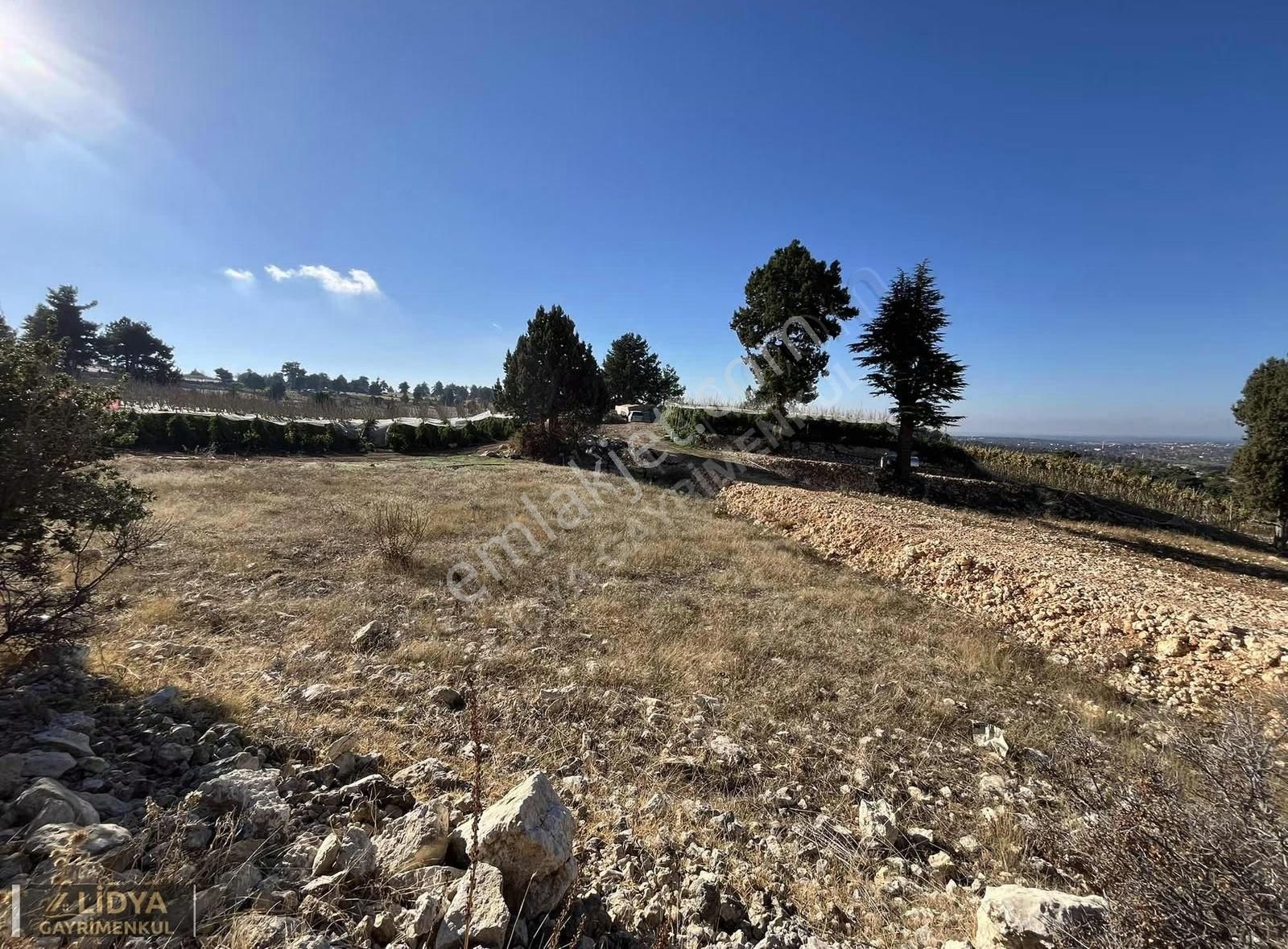 Avgadı-süpürgelik Arası 744 M2 Satılık Tarla - Görsel 4