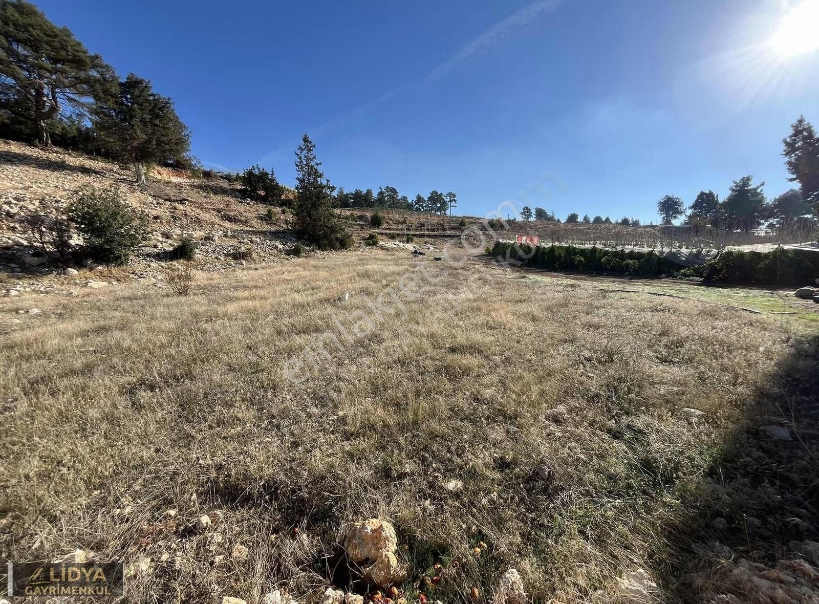 Avgadı-süpürgelik Arası 744 M2 Satılık Tarla - Görsel 5