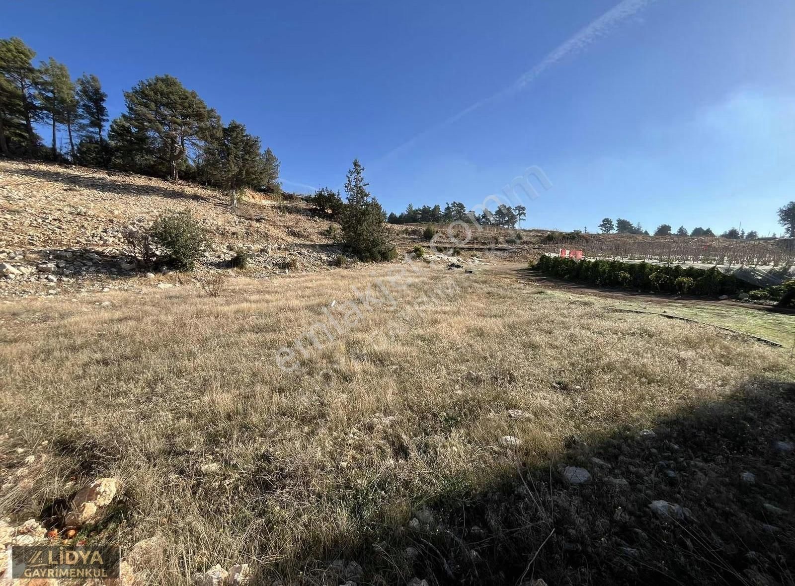Avgadı-süpürgelik Arası 744 M2 Satılık Tarla - Görsel 3