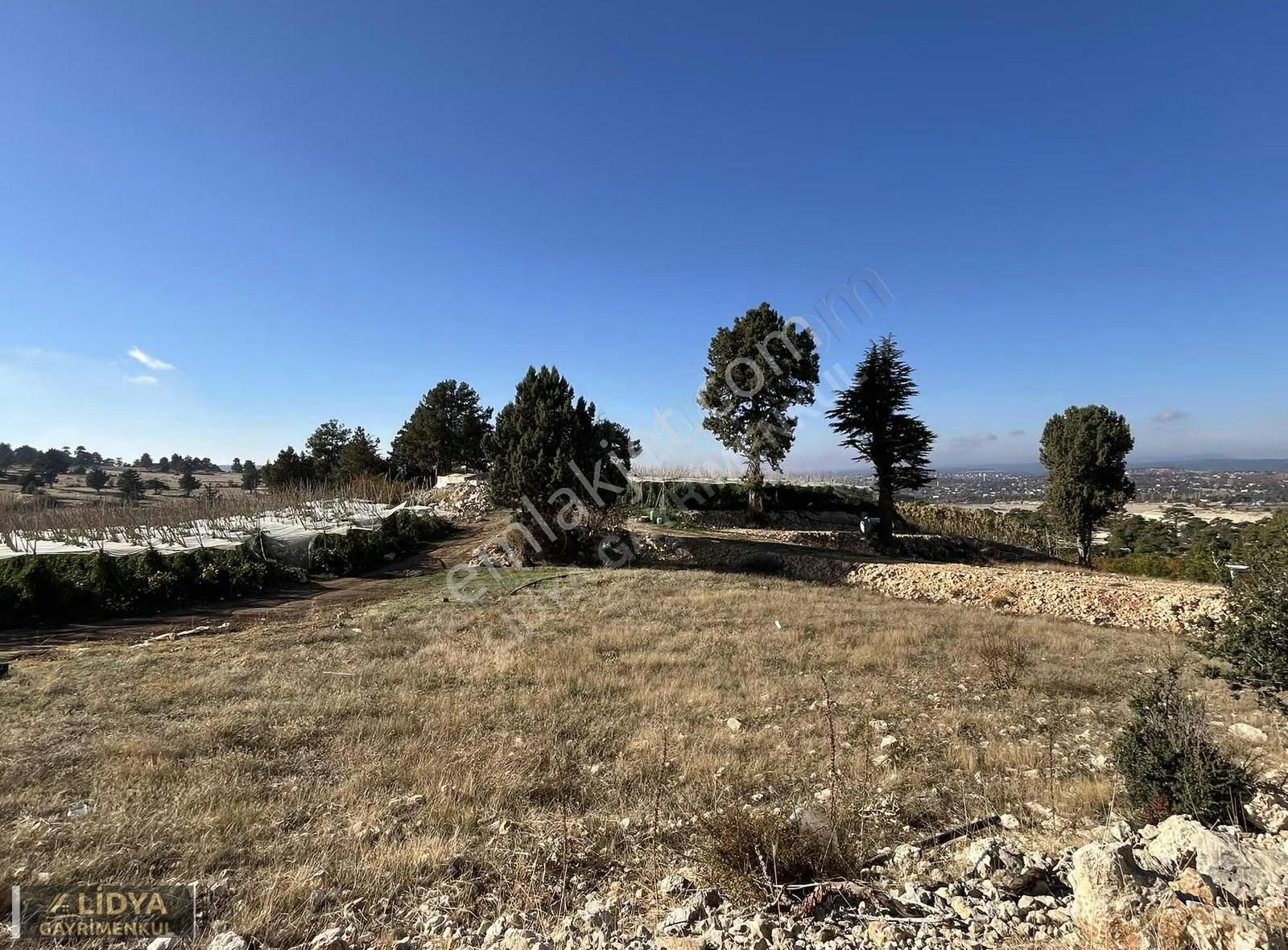 Avgadı-süpürgelik Arası 744 M2 Satılık Tarla - Görsel 14