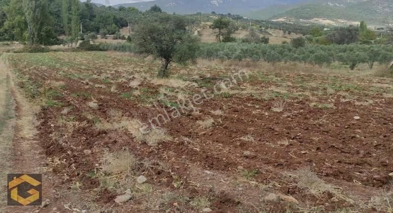 Buca Kırklar'da Yatırım Fırsatı - Görsel 2