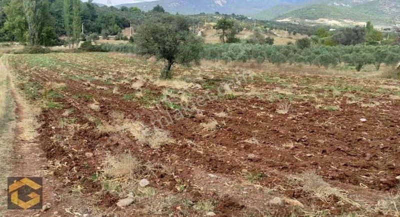 Buca Kırklar'da Yatırım Fırsatı - Görsel 3