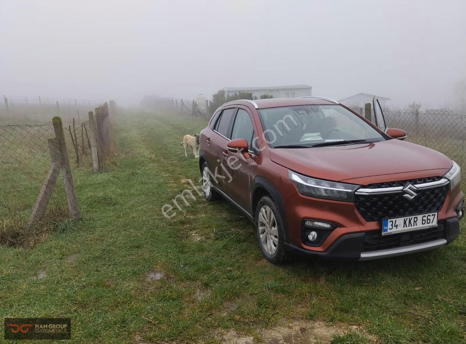 Çatalca Elbasan Acil Satılık Tek Tapu - Görsel 4