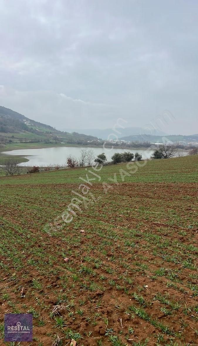 Yola Cepheli, Hobi Baçesine Uygun Köye 2 Km Mesafede Tarla - Görsel 8