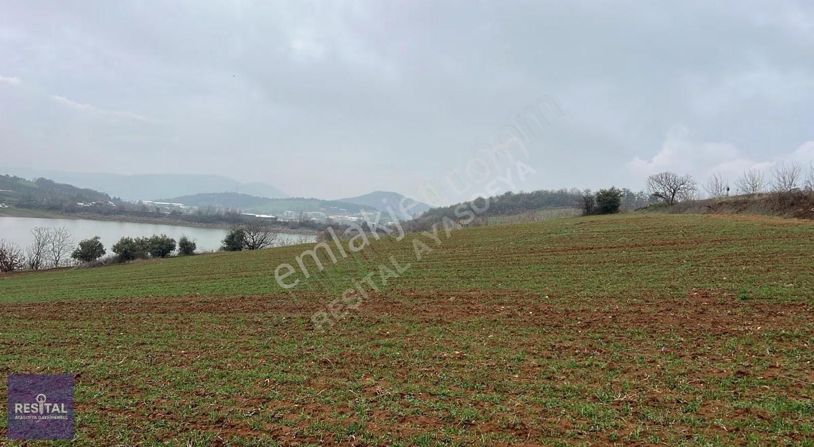 Yola Cepheli, Hobi Baçesine Uygun Köye 2 Km Mesafede Tarla - Görsel 4