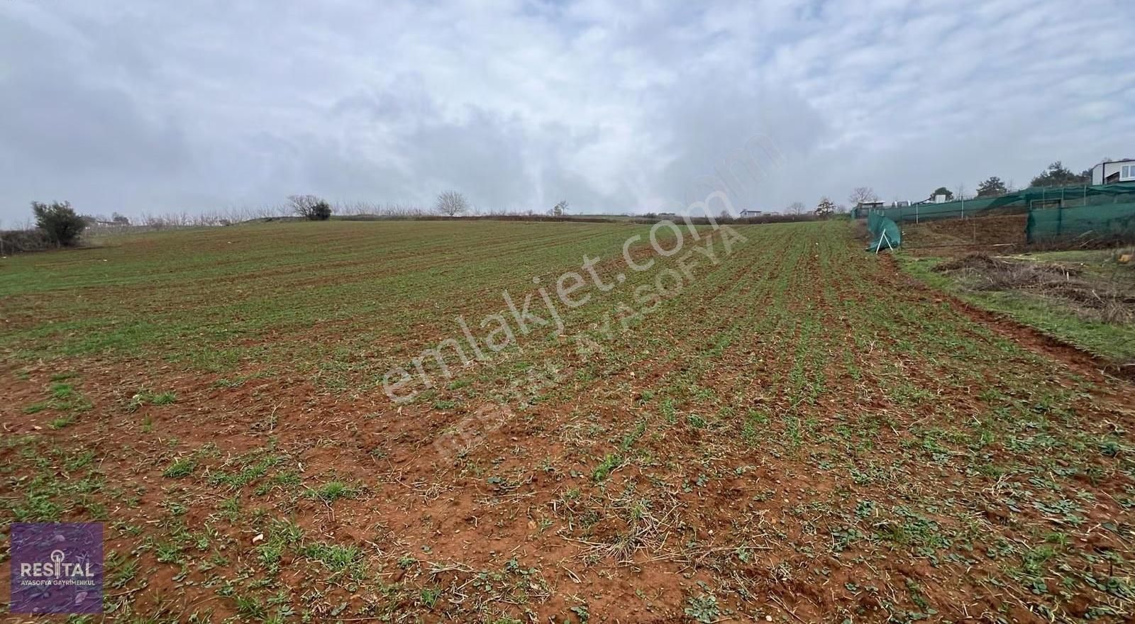 Yola Cepheli, Hobi Baçesine Uygun Köye 2 Km Mesafede Tarla - Görsel 11