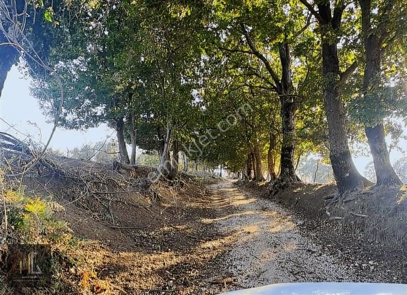 Nilüfer Korubaşı'da Satılık 500m² Arazi! - Görsel 2