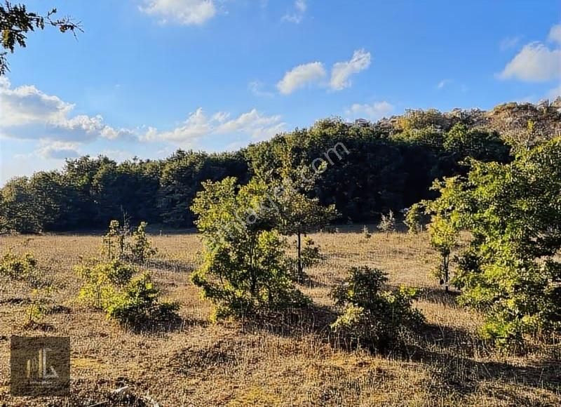 Nilüfer Korubaşı'da Satılık 500m² Arazi! - Görsel 4