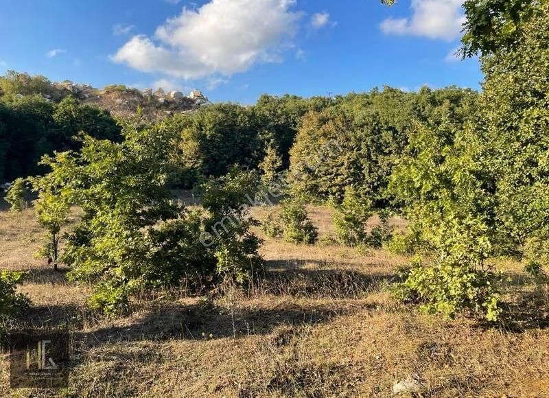 Nilüfer Korubaşı'da Satılık 500m² Arazi!