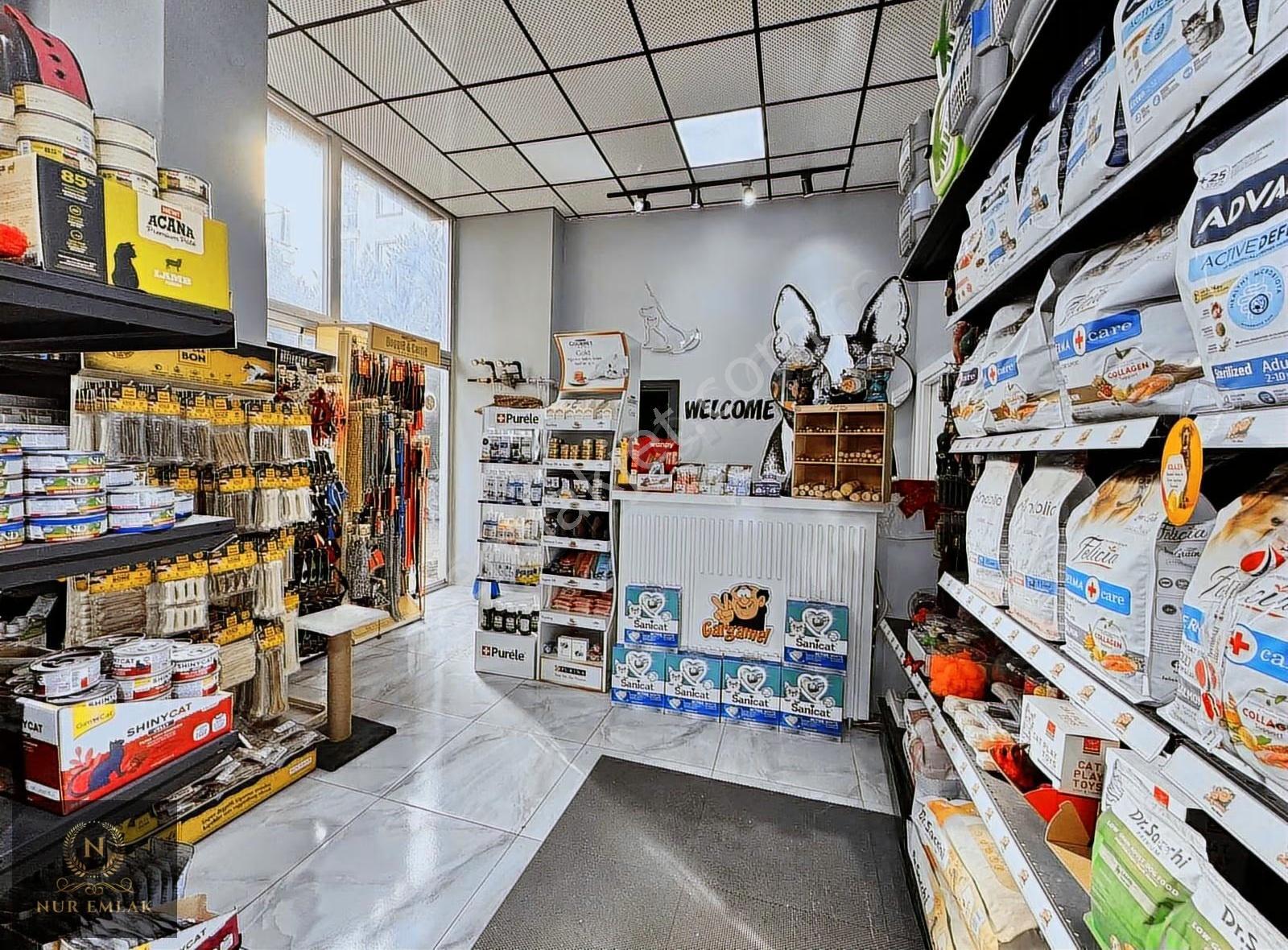 Adnankahveci Mah İşlek Cadde Üzerinde Devren Kiralık Pet Şop - Görsel 7
