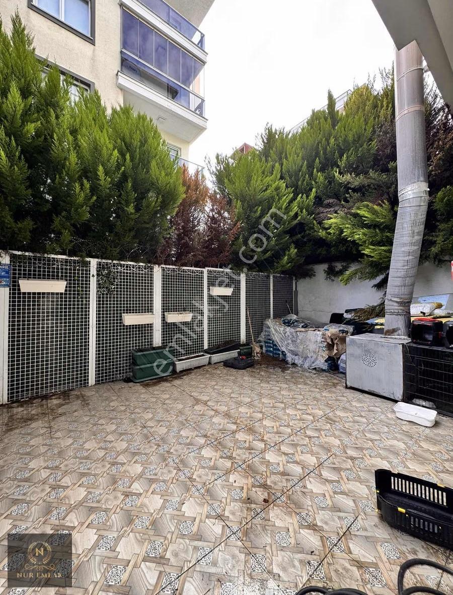 Adnankahveci Mah İşlek Cadde Üzerinde Devren Kiralık Pet Şop - Görsel 3
