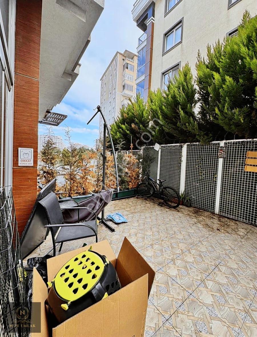 Adnankahveci Mah İşlek Cadde Üzerinde Devren Kiralık Pet Şop - Görsel 10
