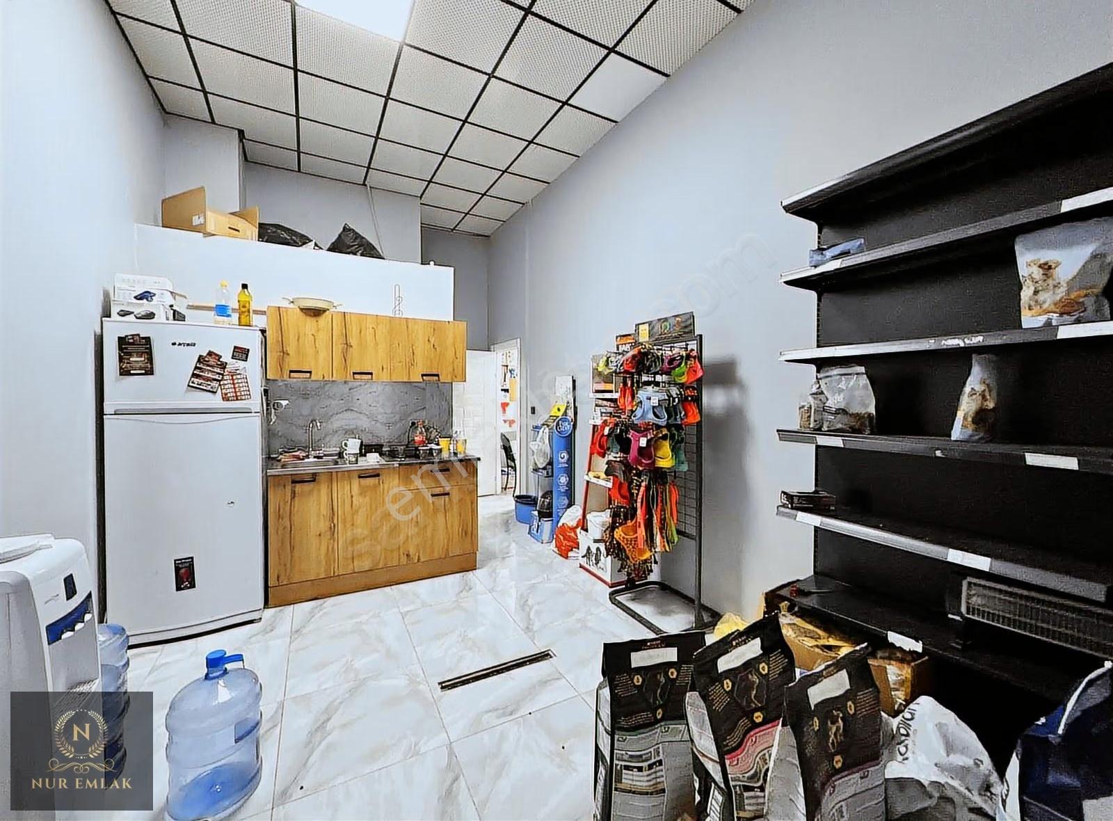 Adnankahveci Mah İşlek Cadde Üzerinde Devren Kiralık Pet Şop - Görsel 4